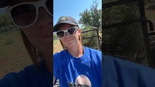 Life Update horsewoman horsemom newjob lifeupdate horsecare mustangmom equestrian [upl. by Eiboh]