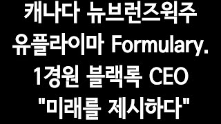 캐나다 뉴브런즈윅주 유플라이마 Formulary1경원블랙록CEOquot미래를 제시하다quot수백배폭등은quot4차산업quot [upl. by Huff947]