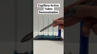 Capillary Action Tube Demonstration [upl. by Towne]