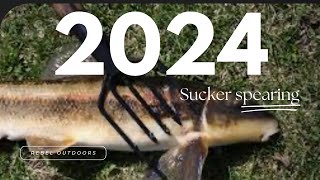 2024 spearing small Michigan creeks for suckers [upl. by Kaycee]