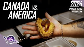 Canadian Reptile Breeder Expo VS American Shows  Ball Python Videos  ballpython snake reptiles [upl. by Parthenia]