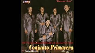 conjunto primavera con nacho galindo  en cada vida [upl. by Brock229]