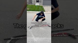 Street Hockey Stereotypes hockey hockeyplayer [upl. by Nodgnal]