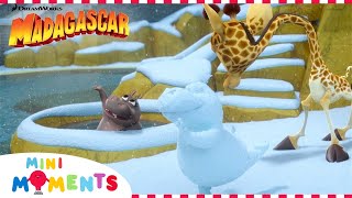 Building a Snowman ☃️  Christmas Special🎄 Madagascar A Little Wild  Mini Moments [upl. by Teeniv]