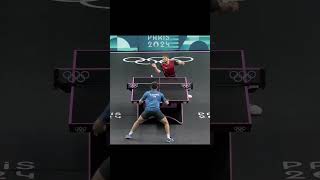 Table Tennis best points paris2024 tabletennis worldtabletennis wtt worldpingpong shorts [upl. by Ahsieket]