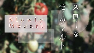 スローなモーツァルト【Slowly Mozart】 [upl. by Gaspard]