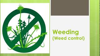 Methods of weed control NCERT CBSE Chapter 1 Crop Production and Management Class 8 [upl. by Bron]