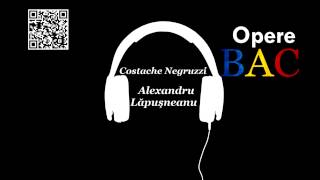 Costache Negruzzi  Alexandru Lapusneanul  Nuvela istorica  OPERE BAC [upl. by Akiehsat860]