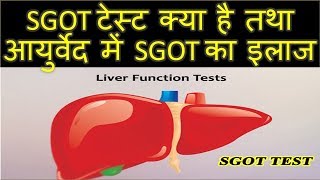 SGOT Test in hindi – क्यों और किस कारण बढ़ता है SGOT – sgot kya hai [upl. by Gottfried]