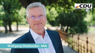 Wolfgang Waldmüller Kosten für Stromverbraucher senken CDUFraktion Landtag MV 141124 [upl. by Hsetih]