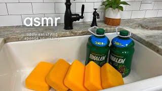 ASMR HUGE GALLONS OF PINALEN SPONGE SQUEEZING [upl. by Bina315]