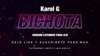 BICHOTA KAROL G EXTENDED 96BPM  BICHOTA EXTENDED 96BPM VEKTOR 🎧 [upl. by Kanor474]