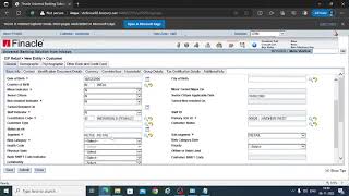 FINACLE 10 TRAINING  Customer ID creation using CRM module [upl. by Branham]