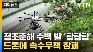 자막뉴스 드론 앞에 속수무책 전멸말벌 잡는 혁신적 기술  YTN [upl. by Paddie]