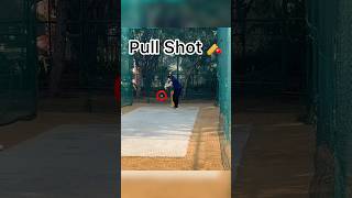 Pull shot drills cricket🏏cricket batting tipscricketshort [upl. by Pears]