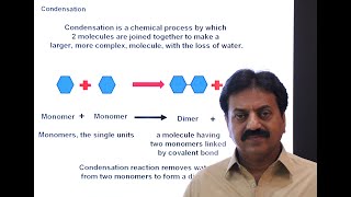 Condensation and hydrolysis  First Year Biology  Chapter 2  Part 3 [upl. by Moss423]