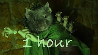 Bruno but its all rats  1 hour [upl. by Radley]