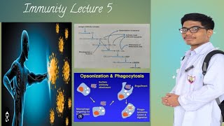 Complement System Immunology [upl. by Claribel]