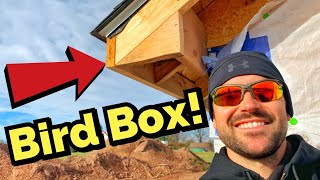 How To Build A Bird Box For Soffit On A House [upl. by Chev]