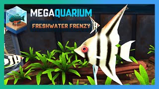 AQUARIUM ON A STEAM BOAT  Barachi  Megaquarium Freshwater Frenzy Campaign [upl. by Armillia]