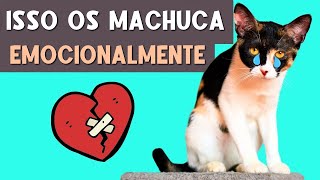 9 Coisas que MACHUCAM EMOCIONALMENTE o seu gato Evite a todo custo [upl. by Atram]