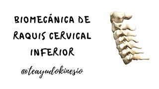 Biomecánica de Raquis Cervical Inferior Anatomía osteocinemática artrocinemática y miocinética [upl. by Ennaitak]