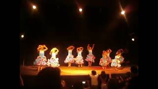 gitanas y beduinas 2014 [upl. by Ilarrold]