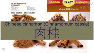 quotCHINESE CINNAMON CINNAMOMUM CASSIAquot in Cantonese 肉桂  Flashcard [upl. by Elleinaj]