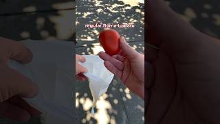 Can your dog poop bags do this dog bags strong tomato test doglovers [upl. by Hilliary404]