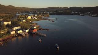 Aerial view of North harbour Placentia Bay Newfoundland 2 [upl. by Yorker151]