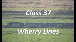 Class 37  Wherry Lines  Somerleyton to Oulton Broad North  Drone [upl. by Noerb]