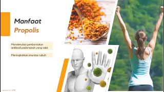 Apakah Manfaat Propolis  Benefits of Propolis [upl. by Ayoras]