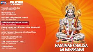 Hanuman Chalisa By Hari Om Sharan  Hindi Devotional Songs  Hanuman Bhajans Jukebox [upl. by Bannister]