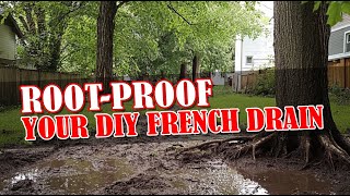 How to Keep Roots From Growing in Your French Drain System [upl. by Rudich]