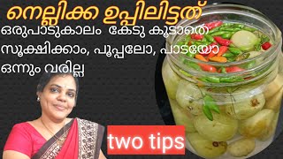 Kerala Style Nellikka Uppilittathu Salted Gooseberry Recipe കൊതിയൂറൂം നെല്ലിക്ക ഉപ്പിലിട്ടത് [upl. by Eanod]