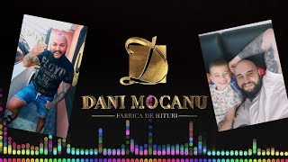 Dani Mocanu  Am un pui de campion  Official Audio [upl. by Douty]