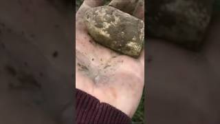 old lead steelyard weight found metal detecting Scotland [upl. by Ailadgim943]