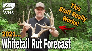 2021 Whitetail Rut Forecast [upl. by Nowyt]