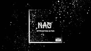 Nas  quotAffirmative Actionquot CTAH B REMIX [upl. by Boccaj]