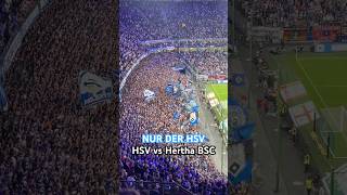 „Die Hertha Steigt Endlich Ab“ 🔥 HSV vs Hertha BSC 2 Bundesliga [upl. by Klemens]