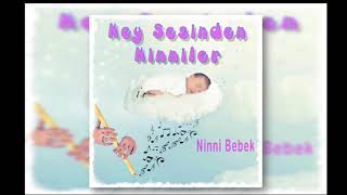 Ninni Bebek  Ney Sesinden Ninniler 1 saat Bütün Albüm [upl. by Ettenoj]