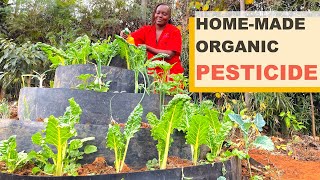 Best Organic Pesticide amp Fertilizer Recipe  Easy DIY Guide for Healthier PestFree Crops [upl. by Sanderson753]