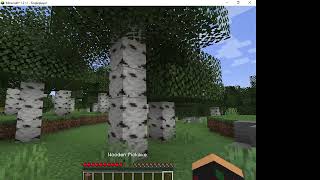 hyka played minecraft for the first time [upl. by Upali]