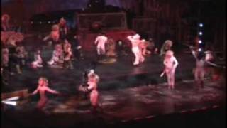 CATS Musical  Jellicle Ball [upl. by Minardi]