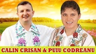 MUZICA POPULARA CU CALIN CRISAN SI PUIU CODREANU COLAJ NOU 2014 [upl. by Llednav855]