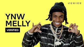 YNW Melly quotMixed Personalitiesquot Official Lyrics amp Meaning  Verified [upl. by Goldner]