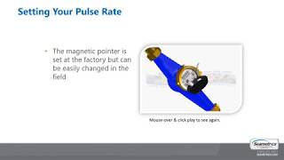 Changing the Pulse Rate of your MJ Series Seametrics Meter [upl. by Eiveneg736]