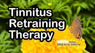 Sound For Tinnitus Therapy TRT 30 Minutes [upl. by Raquel686]