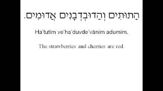 Learn Hebrew Phrases  Colors [upl. by Dixil742]