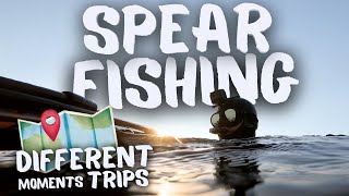 In The Moment  Ep One  Spearfishing [upl. by Mannuela]